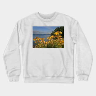 Studland Crewneck Sweatshirt